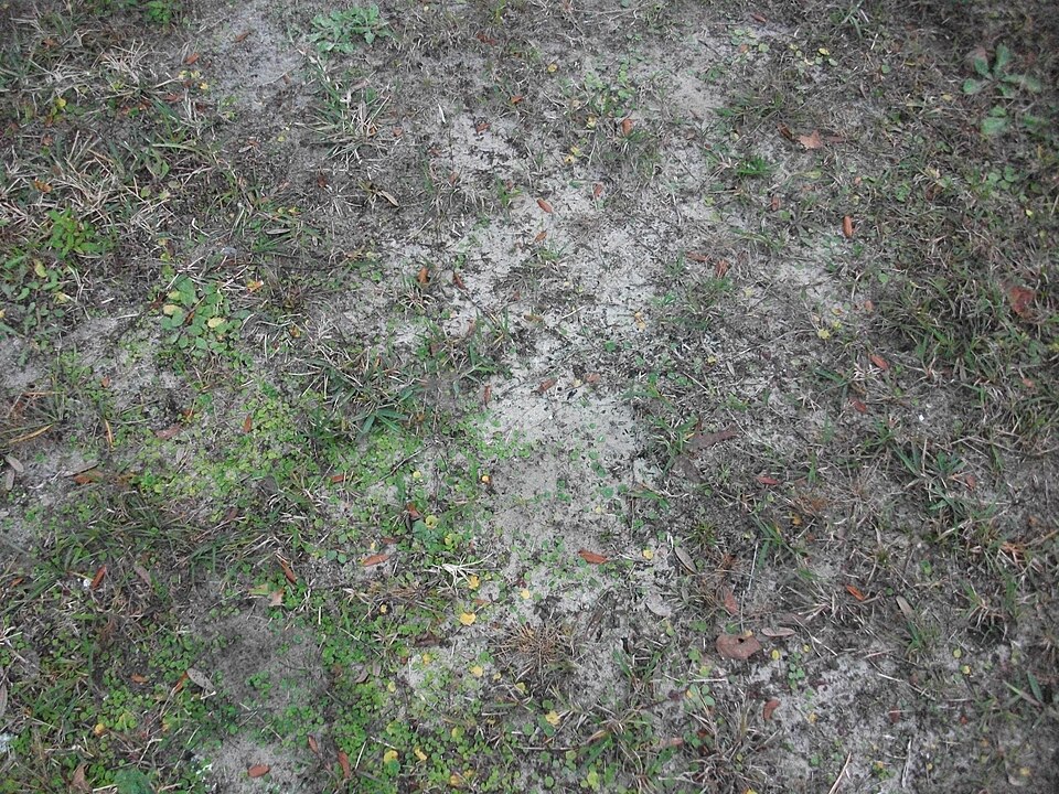 Ground